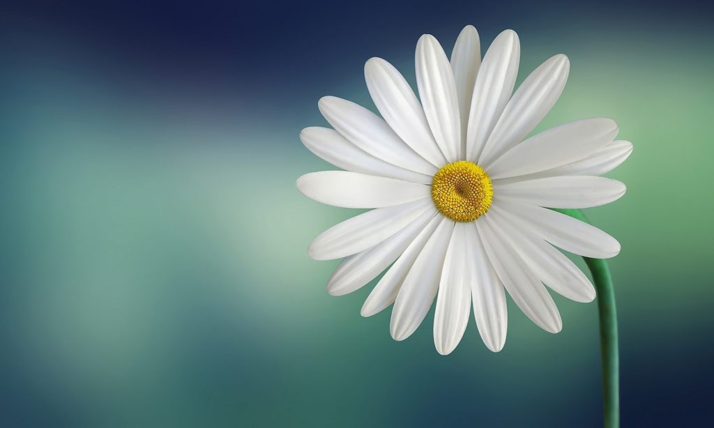 Exam room at Hau Eyecare